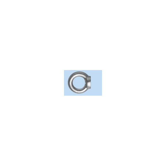 Ring nuts - NUT-EYE-C15-(A2K)-FORGED-M16