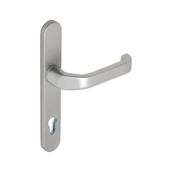AL 920 door handle on outer plate With CK punch - DH-ALU-AL920-OUTS-H-CK-92-8-216-F9/(A2-O