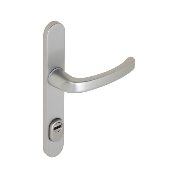 AL 900 door handle on outer plate With cylinder cover - DH-ALU-AL900-OUTS-H-CC-92-8-216-F9/(A2-O