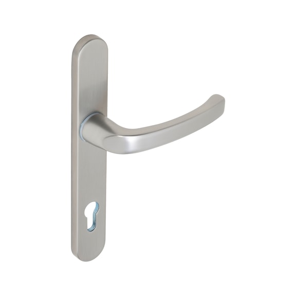 AL 900 door handle on inner plate With CK punch - DH-ALU-AL900-INSIDE-H-CK-92-8-210-F9