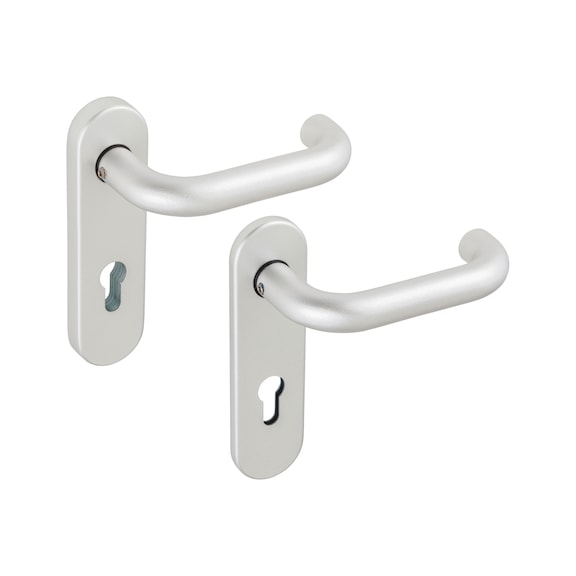 Aluminium-Schutzbeschlag S 22 - SBS-ALU-S22/FS-ES1-DD-PZ-72-14-F1/SILBER