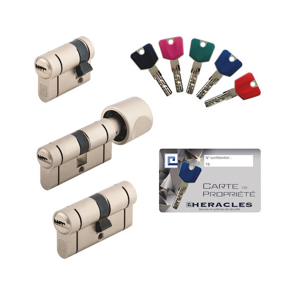 Cylindre européen Y8 s'entrouvrant Héraclès