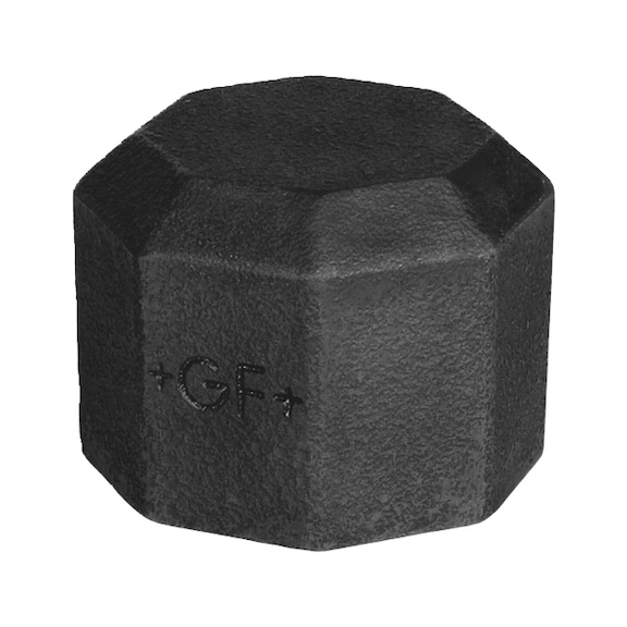 Threaded fitting - FTNG-CAP-S1/4-300-ISO-T1