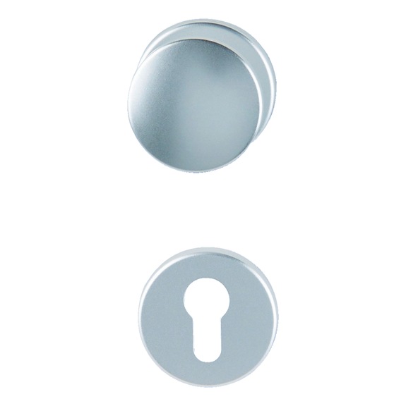 Door handles  AL 502 FS - DH-ALU-AL502/FS-WE-ROS-CK-L/R-F1/SILBER