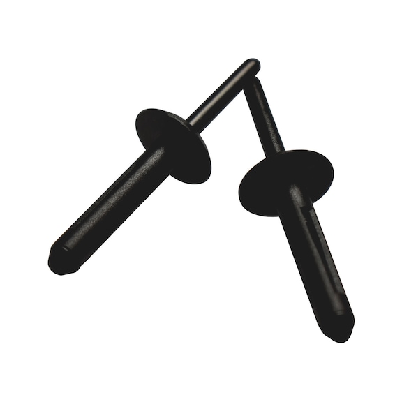 Plastic blind rivet, type 1 - PLASTIC RIVET 6MMX25MM