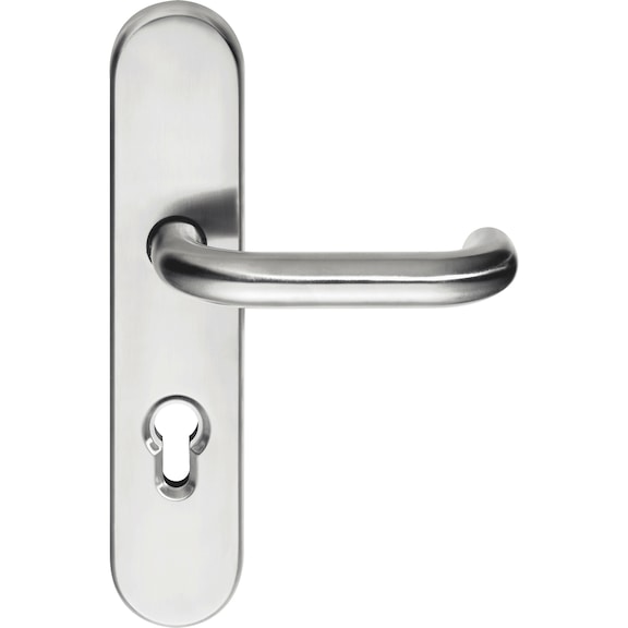 Stainless steel security door fitting Phönix 5 - SDF-A2-PHOENIX5-ES1-CH-CC-88-14-MATT
