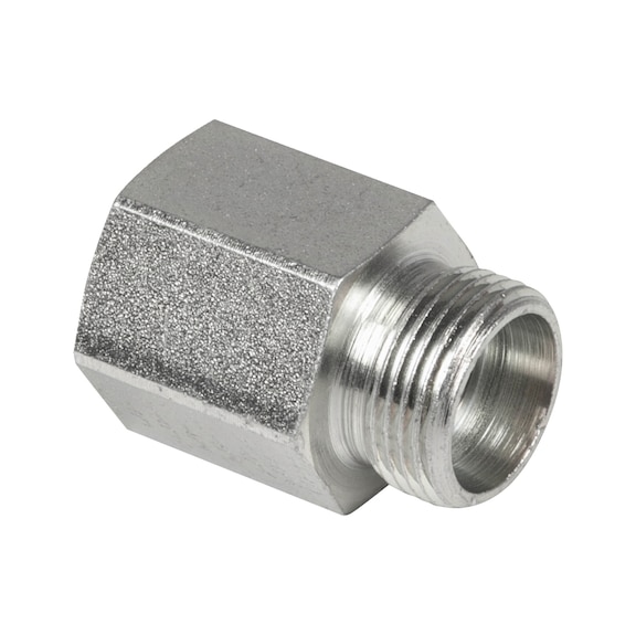 Diritto di estremità femmina - filetto BSP  - 1