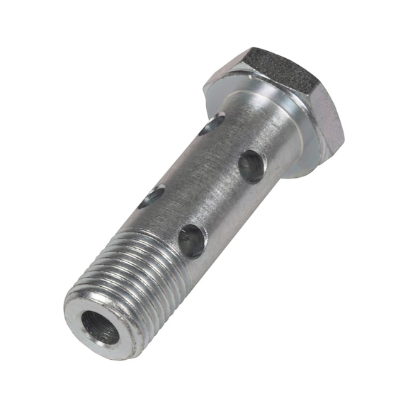 Vite forata doppia BSP - 1