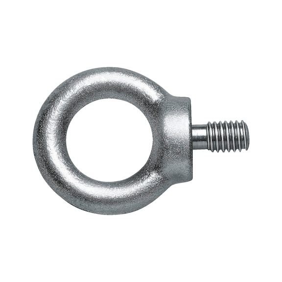 Ring bolt - BLT-RG-C15-(A2K)-M20