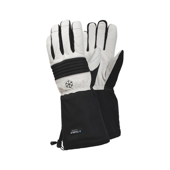 Protective glove winter Ejendals Tegera 595 - PROTGLOV-WINT-TEGERA-595-SZ8