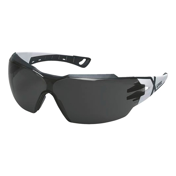 Lunettes de protection Uvex pheos cx2 9198 - SAFEGOGL-UVEX-PHEOS-CX2-9198230