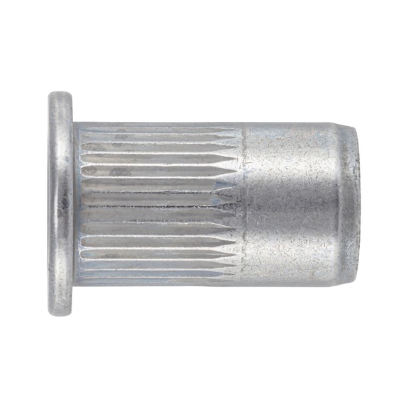Dome head rivet nut with knurled shank Steel zinc-nickel-plated automotive - 1