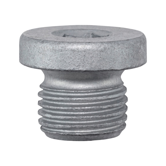 &Ouml;lablassschraube - SHR-OELABL-MB-M10X1MM