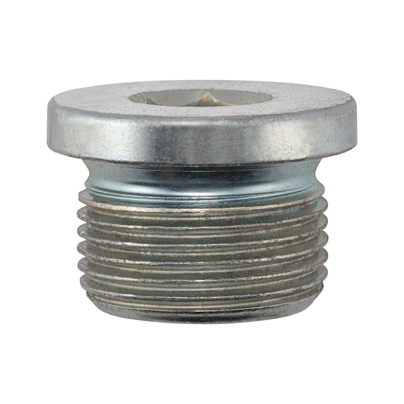 &Ouml;lablassschraube - SHR-OELABL-FIAT-M22X1,5MM