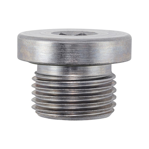 Bouchon de vidange &eacute;tanche - PLG-OILDRN-AUDI/VW/BMW-M18X1,5MM-SEALRG