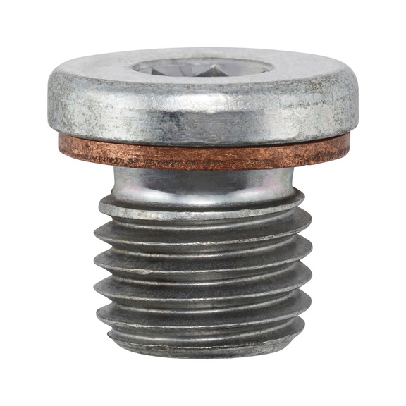 &Ouml;lablassschraube mit Dichtung - SHR-OELABL-MB-M12X1,5MM-DICHTRG