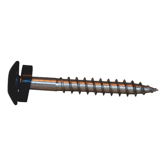 Farvet skrue med EPDM skive A2 - FACADESKRUE TX20 A2 SK 4,8X38MM RAL7016