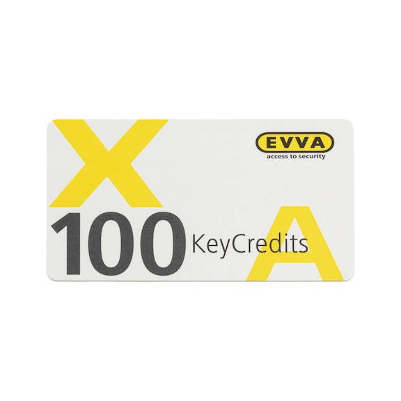 AirKey KeyCredits - AIRKEY-F.SHLANL-(KEY-CREDITS)-100CARD