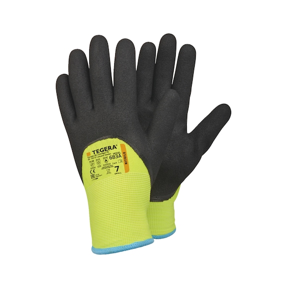 Protective glov winter Ejendals Tegera 683A Ricola