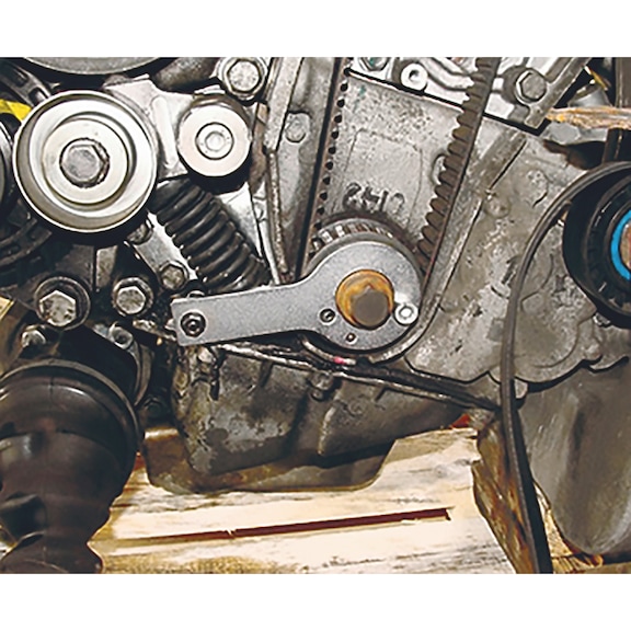 Control time tool set for Alfa Romeo 2.2 l diesel - 2