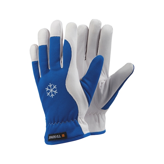 Protective glove winter Ejendals Tegera 217 - PROTGLOV-WINT-TEGERA-217-SZ10