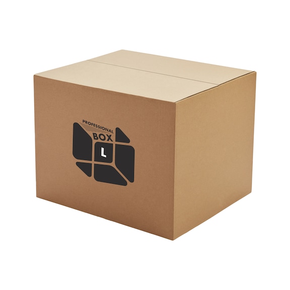 Surprise Professional Box - Large - LARGE PROFI BOX