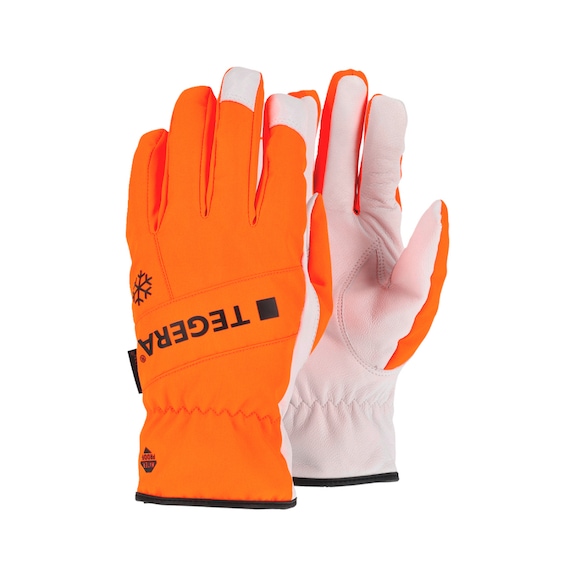 Winter protective glove Ejendals TEGERA® 288