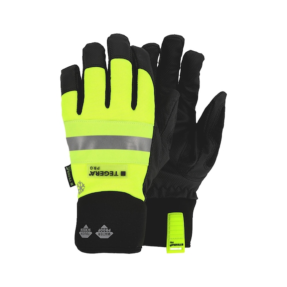 Winter protective glove Ejendals TEGERA® PRO 9131