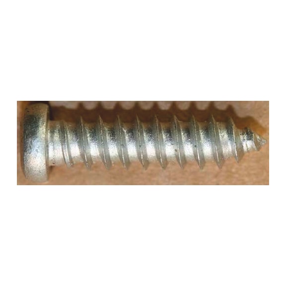 Window screw - PAN HEAD TAPPING SC SS 4,8X19MM RUSPERT