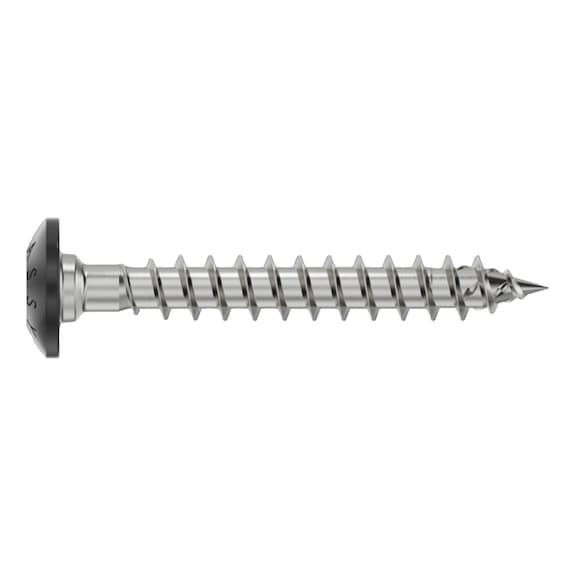 ASSY 4 A4 TRH gate hinge screw painted A4 stainless steel full thread large truss head - SCR-TRH-WO-A4-RAL9004M-RW20-5X30/25