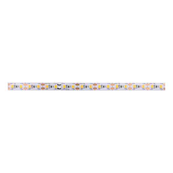 LED-Lichtband FLB-12-21 - LICHTBA-LED-(FLB-12-21)-WW-2,6W-50M