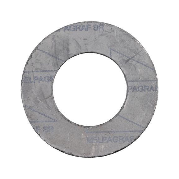 Flanged seal A4 grafite SR