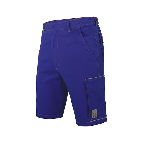 Basic shorts - BASIC SHORTS ROYAL 50