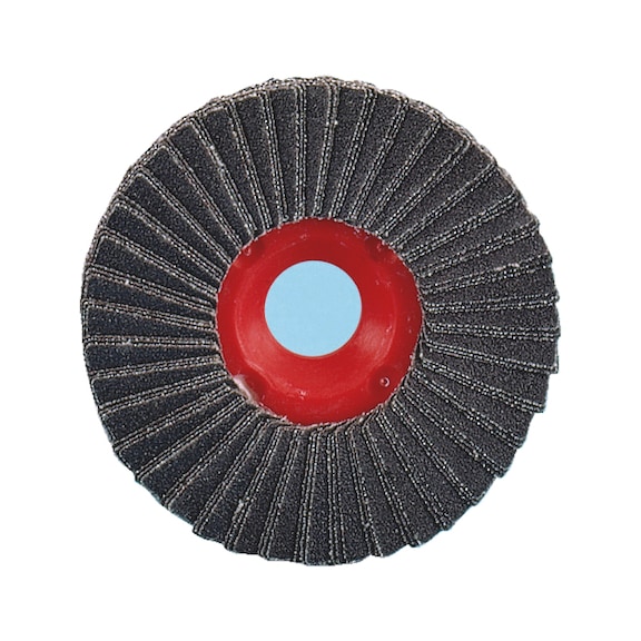 Disco abrasivo a lamelle