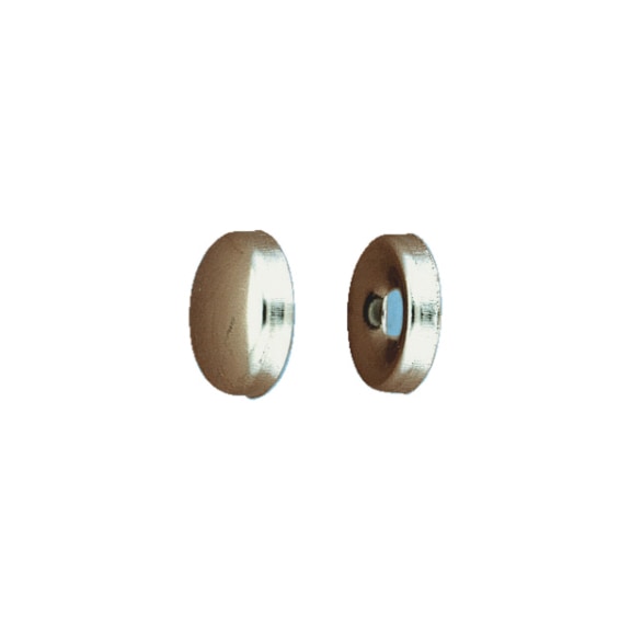 Borchia coprivite piana in ottone  - 1