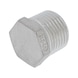 Bouchon mâle à tête hexagonale inox A4 - 1