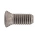 Screw for ISO S clamping system