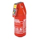 Feuerl&ouml;scher Typ P2GM 2 kg