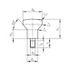 Mushroom head screw 1.4404 polished, hygiene area - 2