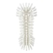 Washing brush XL, extra hard - WASHBURST-XL-EXTRAHART-240MM-WEISS - 2