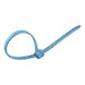 Cable tie KBL D made of polypropylene with metal tongue detectable, blue - CBLTIE-PLA-METLATCH-DETA-PP-BLUE-2,4X93 - 2