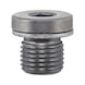 &Ouml;lablassschraube mit Dichtung - SHR-OELABL-VW-M10X1MM-DICHTRG - 1