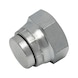 BSP vrouwelijke afdichtplug - ADAPT-HYDR-BSP-AFSLUITKAP-F-R1IN - 1