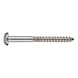 Screw for anchors A2 for the tested SHARK DRY fixing system - 1