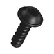 W&Uuml;PLAST&reg; NEO flanged pan head screw with hexalobular Plus recess W5451 steel 10.9 zinc-nickel plated black - SHR-FLSH-W5451-TXP10-10.9-(ZNBH)-3X10 - 2
