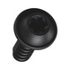 W&Uuml;PLAST&reg; NEO flanged pan head screw with hexalobular Plus recess W5451 steel 10.9 zinc-nickel plated black - SHR-FLSH-W5451-TXP10-10.9-(ZNBH)-3X10 - 3