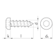 Pan head tapping screw, shape C with AW drive - SCR-PANHD-WS111-C-AW10-(DSS)-2,9X6,5 - 2