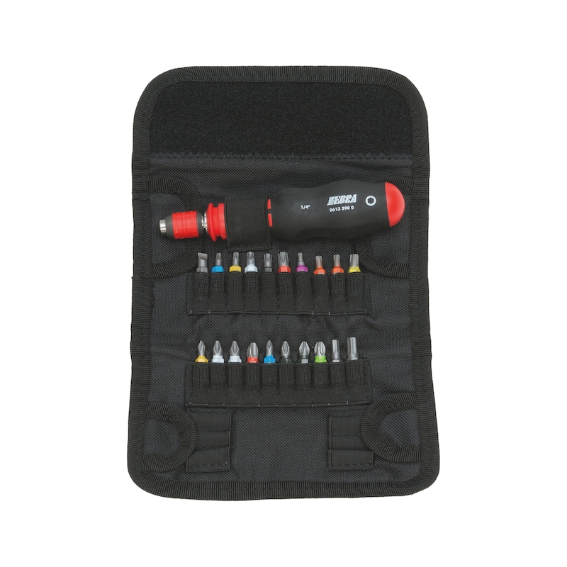 Buy Screwdriver with bit assortment 2, 21 pieces online