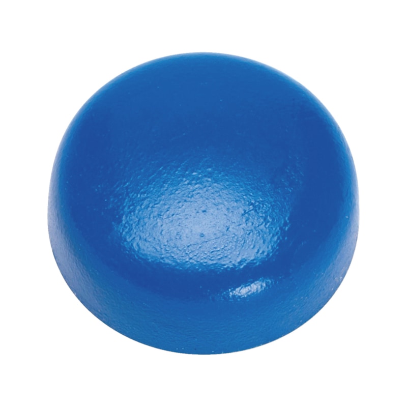 Cache pour vis de plaque d'immatriculation : bleu, blanc et noir