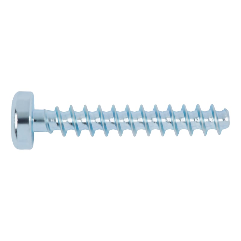 Vis pour plastique WÜPLAST - tête cylindrique bombée - W1452 - acier 10.9 zingué (A3K) - empreinte TX